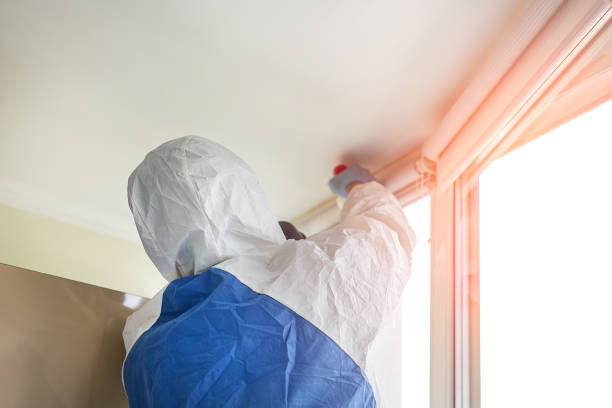 Trusted Blacklick Estates, OH Mold Removal & Remediation Experts